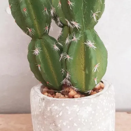 Allegria Deluxe Bed & Breakfast Nîmes