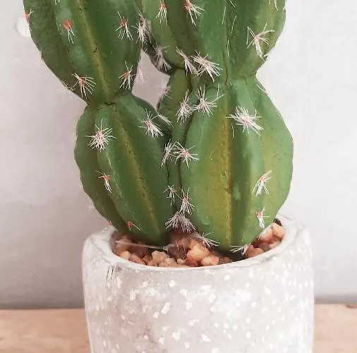 Allegria Deluxe Alojamento de Acomodação e Pequeno-almoço Nîmes